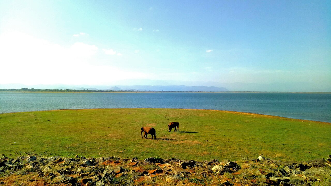 Udawalawe · destination photograph